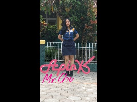 ZTN RICCA - MR. CHU COVER