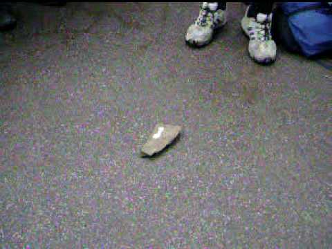 Exkursion Rebo teil2 Salzsäuretest zur Erkennung von Kalk