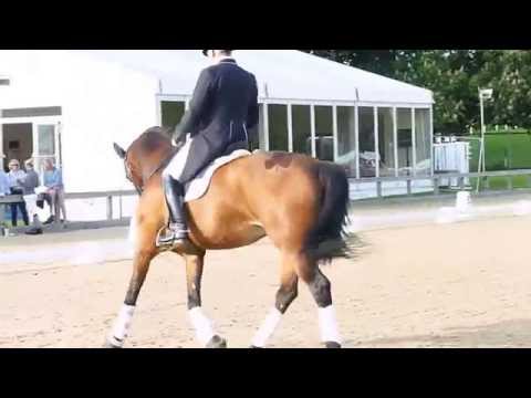 CDI3* FEI Grand Prix Freestyle to Music