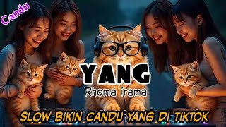 Download lagu DJ YANG RHOMA IRAMA SLOW BIKIN CANDU YANG DI TIKTOK BY Yanz Tube mp3