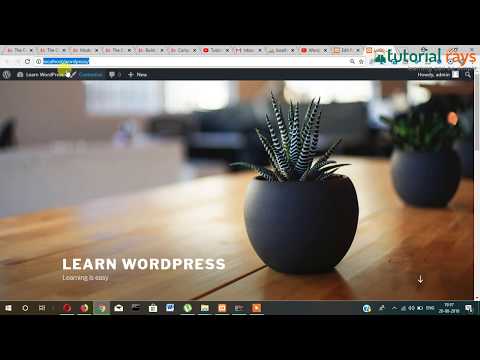 4 WordPress Categories and Posts Tutorial Rays | By Umar Rahman