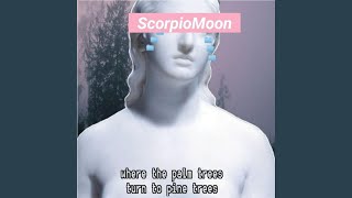 Wasps Music Video