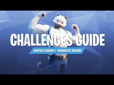 Meowscles Mischief Challenge Guide