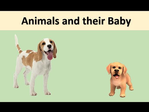 Brain teaser riddles for kids part 44