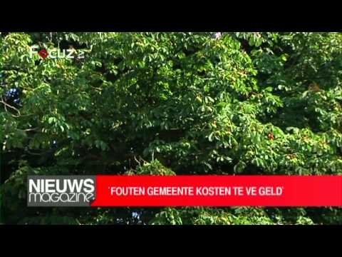 Nieuwsmagazine - 14 januari 2013