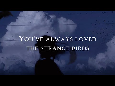 Birdy  - Strange Birds (Lyrics)