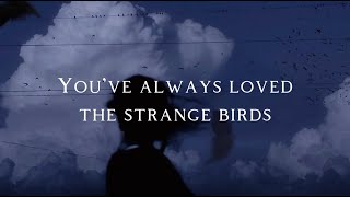 Birdy  - Strange Birds (Lyrics)