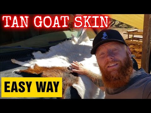 , title : 'Tan a goat hide | Easy way'