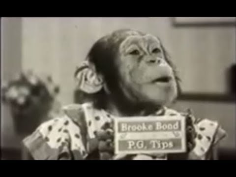 Still frame from The PG Tips Chimps (PG Tips (Brooke Bond), 1956)