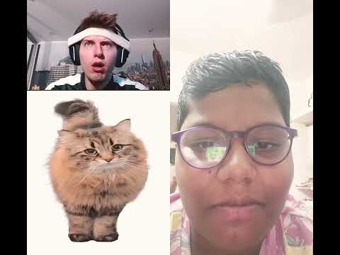 🐾🐾🐾🐾🐾🐾🐈🐈🐈🐈🐈👅