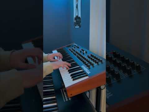 SYNTH SOUNDS : MOJABI GHOST - TAINY (Ft. Bad Bunny)