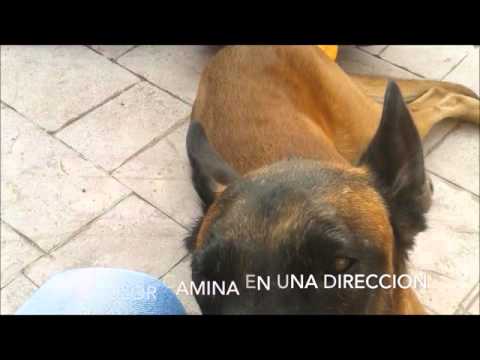 Danko Nuestra Canción