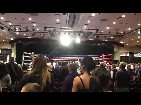 2019 Quarter Finals Ring 1