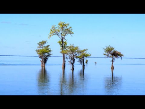 州別の私の好きな湖と最も嫌いな湖...サウスカロライナ州