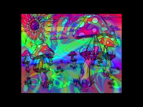 Mellow The Band - A Mushroom Song
