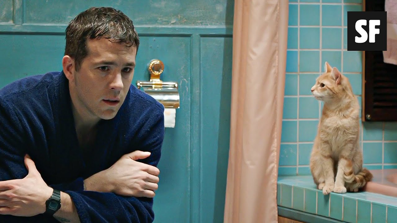 GATO CONVENCE SEU DONO A SER UM PSICOP4TA AS$AS$IN0