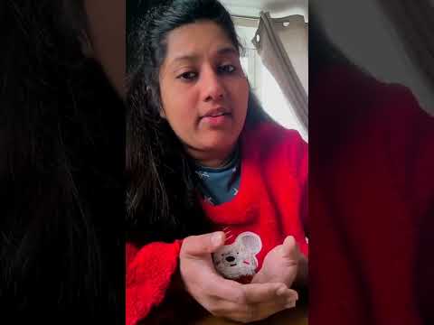 Sreelekshmi FACTS Transcript Reviews