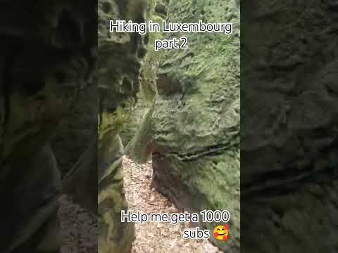 #travel #summer #hiking #moss #rocks #nature #solotravel #consdorf #echternach #luxembourg