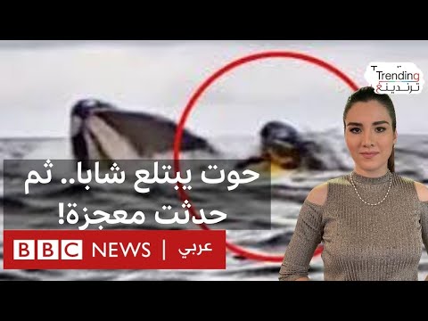 فيديو | حوت يبتلع شابا.. ثم حدثت معجزة!