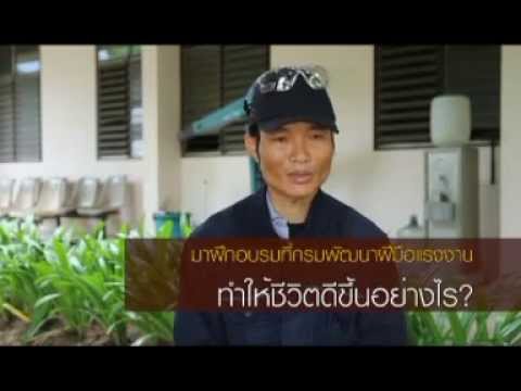 รีสอร์ทอัลไตสำหรับการรักษาโรคสะเก็ดเงิน จมูกและกลากเป็น