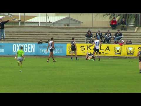 Magpies v Adelaide Highlights - Round 18, 2016