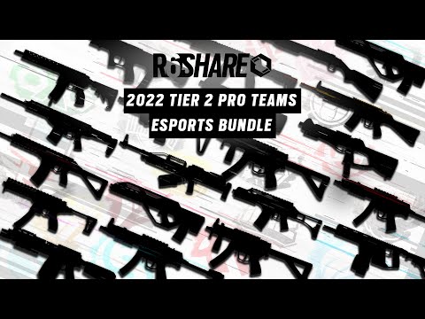 Rainbow Six Tier 2 Pro Team Skins Part 1