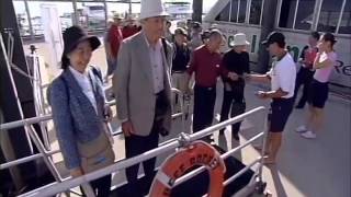 The Mystery of Eels Nature Documentary