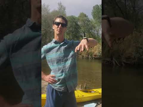 Expert Interview with Sam, a watershed biologist