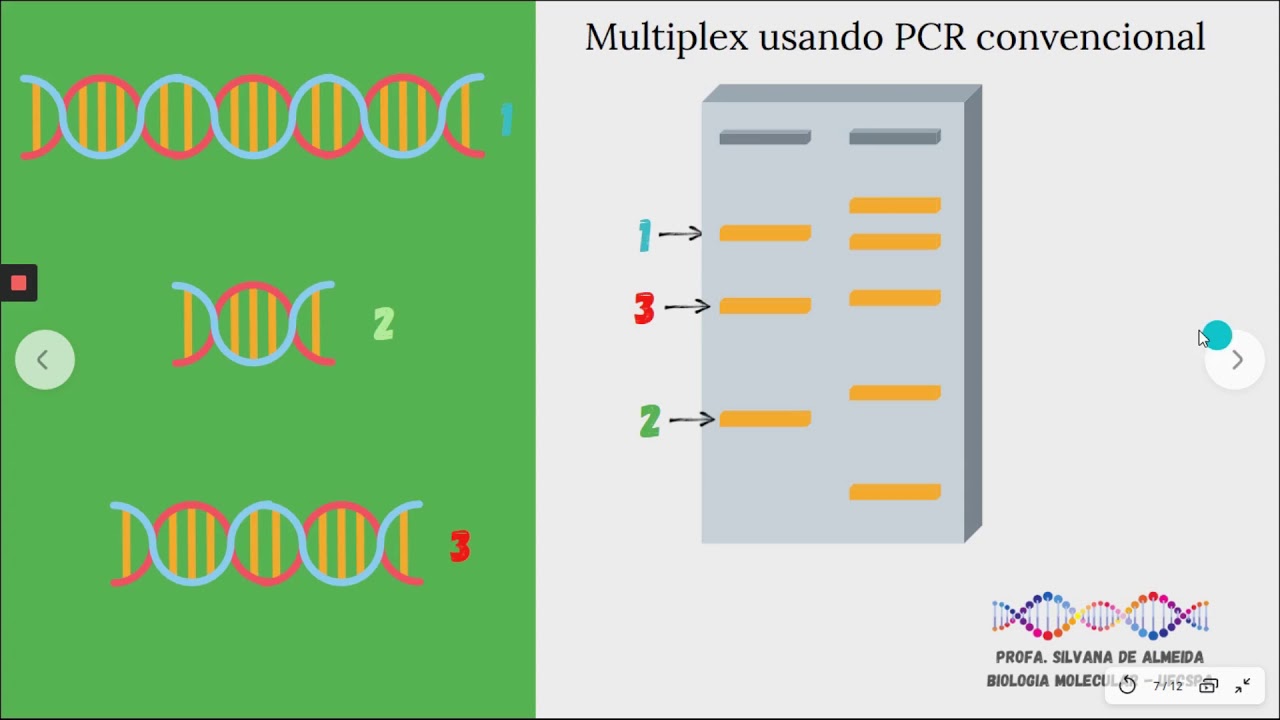 Aula sobre PCR multiplex