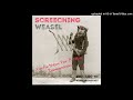 Screeching Weasel - I'm Not In Love (Live)