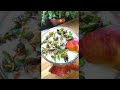 Apple Shake Apple Milk Shake Recipe Shorts By Aayshazkitchen