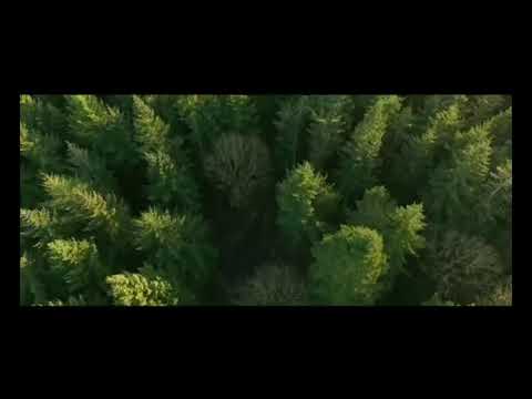 Projekt Phase Null - Fortschritt 2.0 (Dreams)