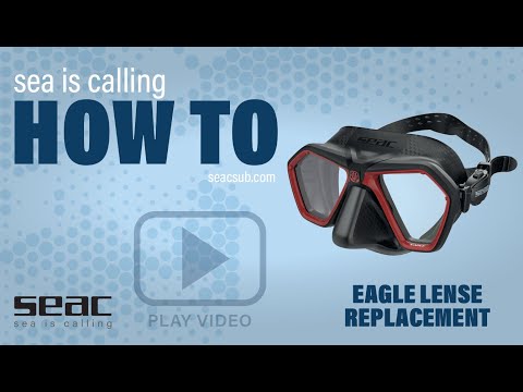 Video Review of the Seac Fire Speargun