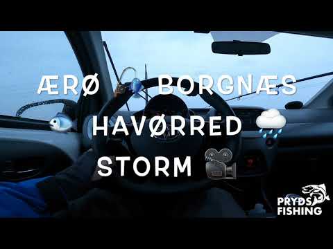 Ærø Borgnæs i maga storm (27. dec) Havørred