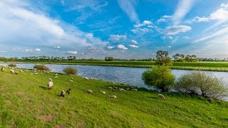 preview picture of video 'Biosphärenreservat Flusslandschaft Elbe: Geheimtipp im Nordwesten Brandenburgs'