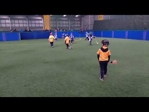U6 Hurling 2018