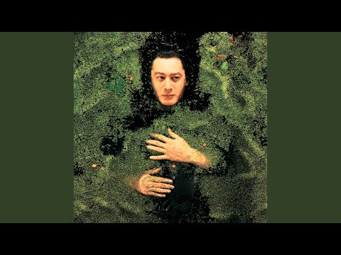 Aucun express - Alain Bashung