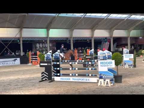 For Chacco Tn by for pleasure x Chacco blue @1m30 Paard Balkbrug