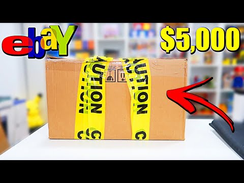 I Bought A $5,000 Mystery Box From Ebay (I GOT RIPPED OFF!!😡)
