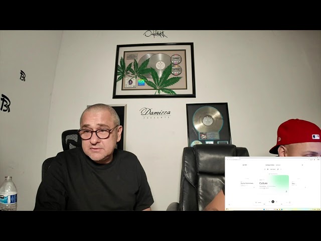 Damizza Synergy Song Review