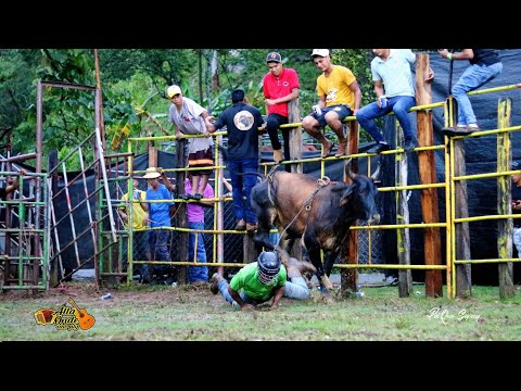 BAJO GRANDE DE LA PINTADA COCLÉ - LO QUE PASA EN UNA FIESTA DEL CAMPO 
