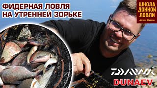 ФИДЕРНАЯ ЛОВЛЯ НА УТРЕННЕЙ ЗОРЬКЕ.