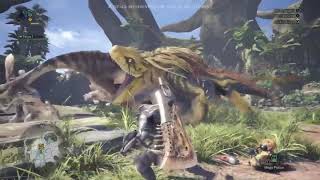 [問卦] 抓綠鬣蜥要用太刀還是操蟲棍啊