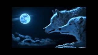 Tennessee, Blue moon a Capella.