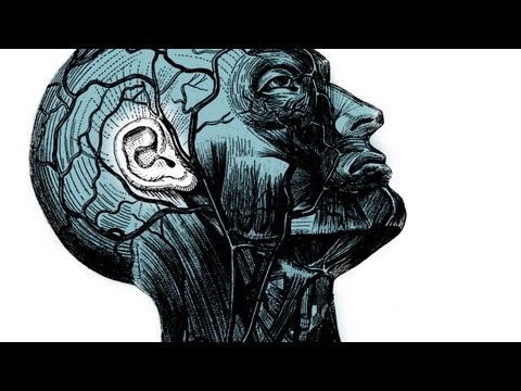 Your brain on improv – Charles Limb