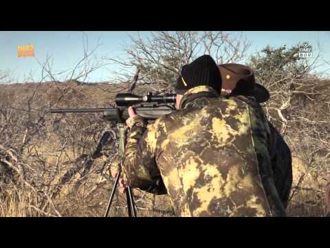 Darz Bór zapowiedź odcinka 160