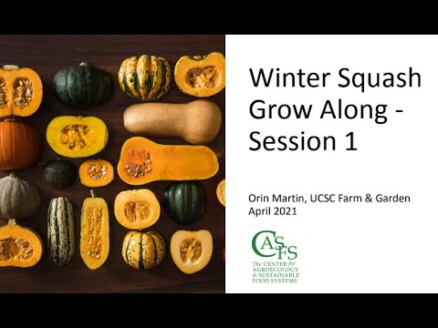 Session 1 - Winter Squash Grow Along with Orin Martin