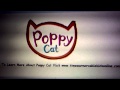 To Learn More About Poppy Cat