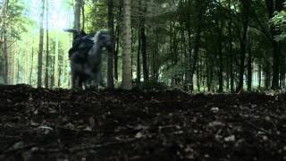 Game of Thrones: Season 3 – Episode 3 Recap (HBO)