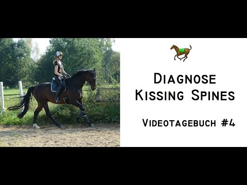 Die Diagnose Kissing Spines - Videotagebuch #4